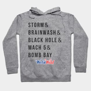 Wet 'N Wild attractions Hoodie